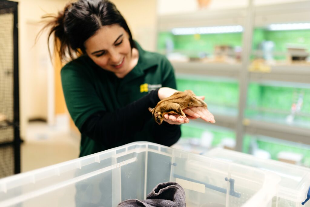 TLevel in Animal Care and Management Level 3 Stamford College